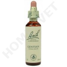 Bach Flower Remedies for Animals - Gentian